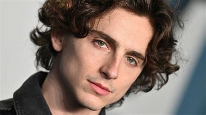 Timothée Chalamet (Actor) Wiki, Bio, Age, Height, Weight, Girlfriend, Net Worth, Career, Facts