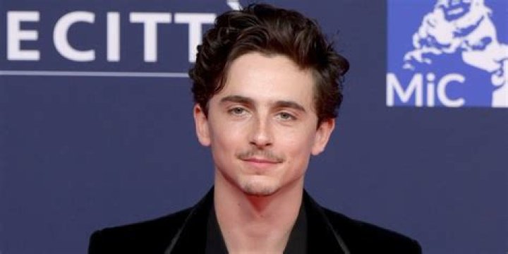Timothée Chalamet Movies and Tv Shows, Age, Height, Instagram