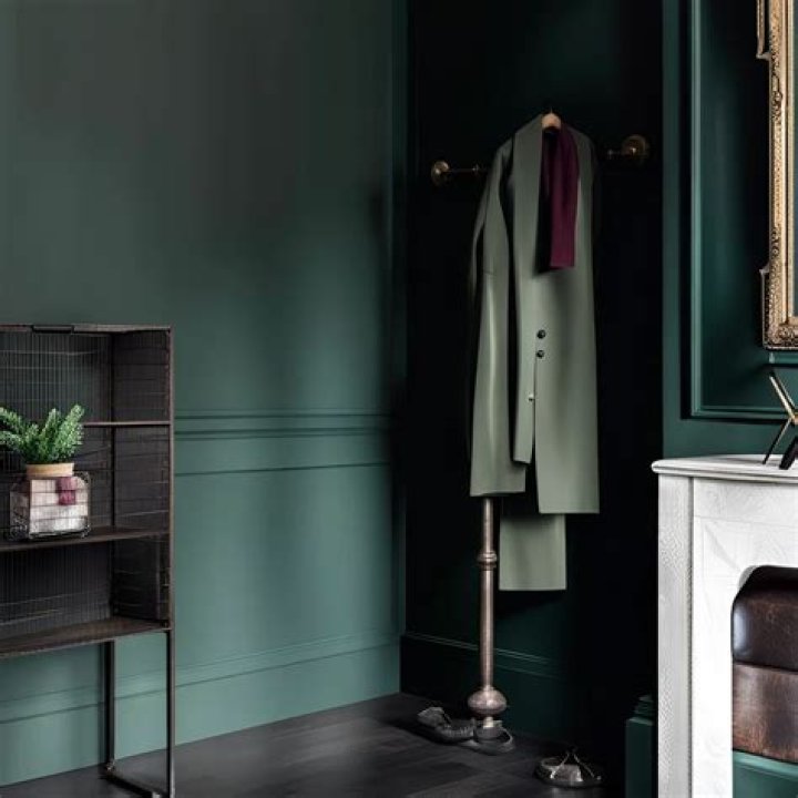 TONESTER PAINTS Age, Height, Nationality, Education, Wiki, Biography