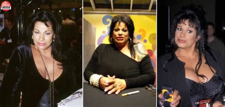 Vanessa del Rio Net Worth, Income, Salary, Earnings, Biography