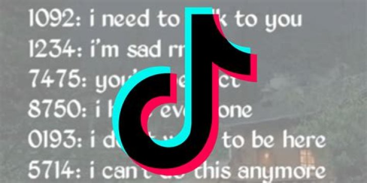 What does 1087 mean? Decoding the meaning behind TikTok and Instagram’s secret code