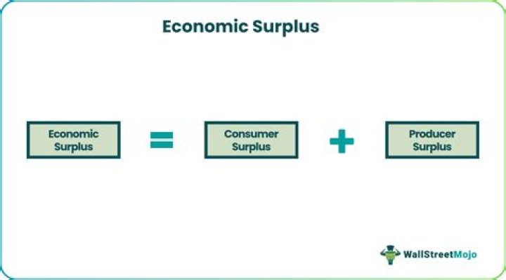 What does mean surplus