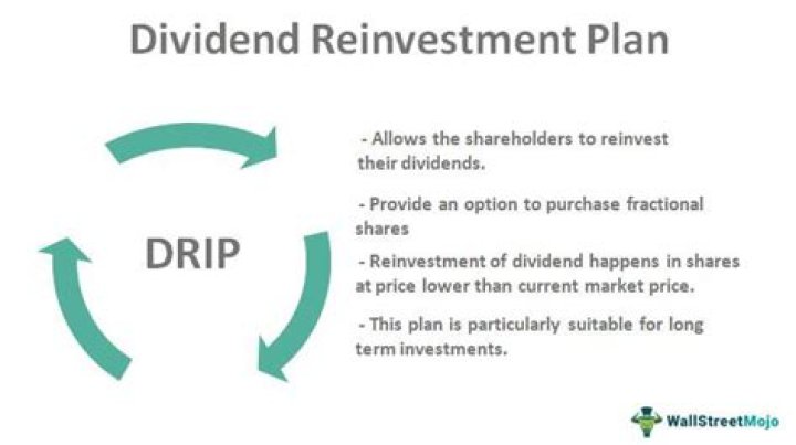 What does reinvest dividends mean
