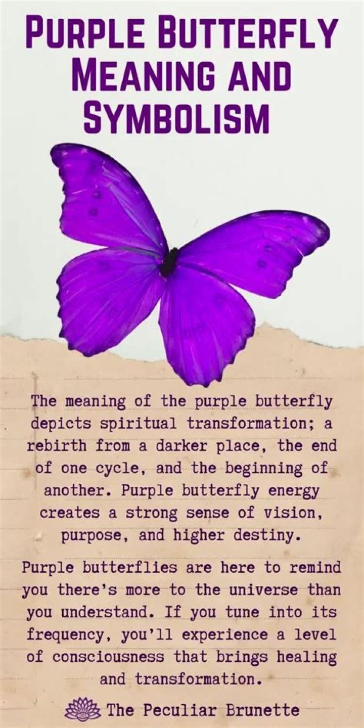 What does the Purple Butterfly Meme mean explained?