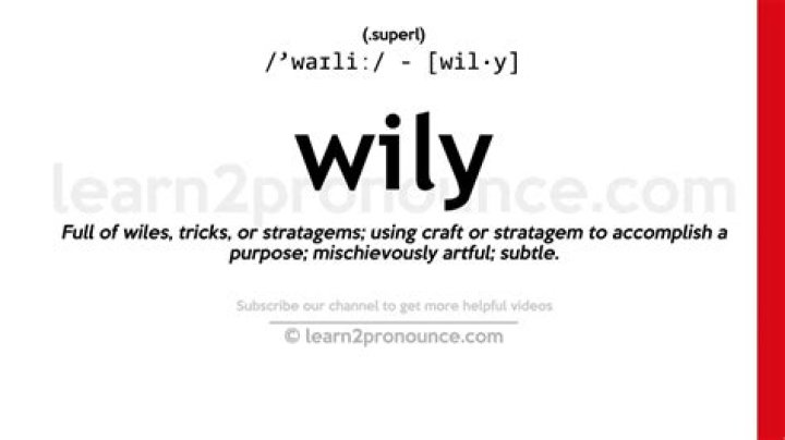 What does wily mean