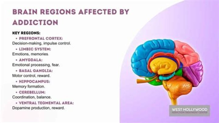 What Happened To Spencer Haywood? Health Condition And Drugs Addiction – Where Is He Now?