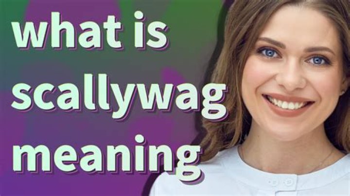 What is a scallywag definition