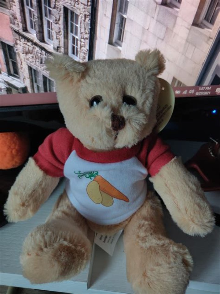 What Is Belarusbearforce On Twitter? Details About Why John Oliver Making Fun Of The Belarus Bear Force Explained