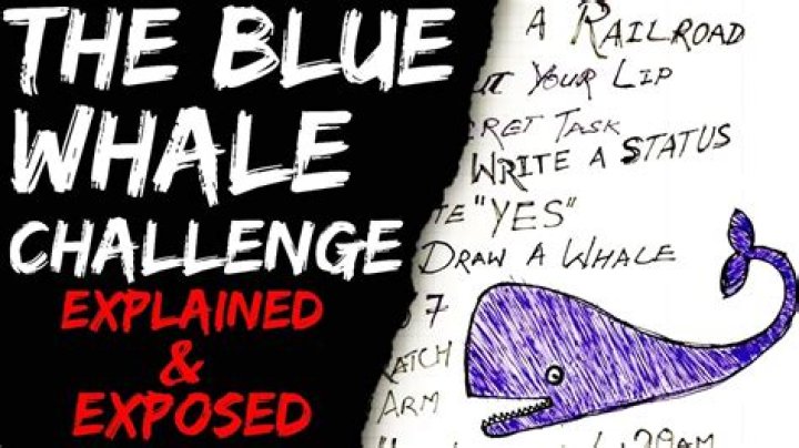 What Is The Blue Whale Challenge TikTok – Trend By Jonathan Galindo