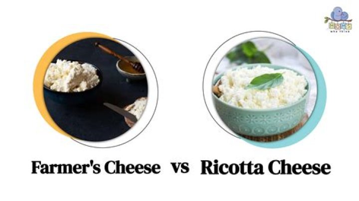 What is the Difference Between Ricotta and Cottage Cheese