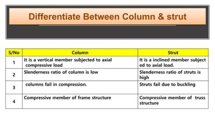 What is the Difference Between Strut and Column