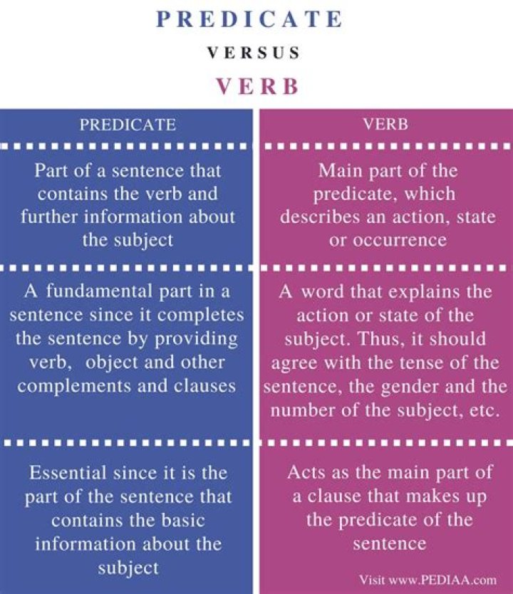 What is the Difference Between Verb and Predicate