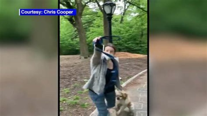 Where Is Amy Cooper Now? Everything On Central Park Karen – Christian Cooper Feud