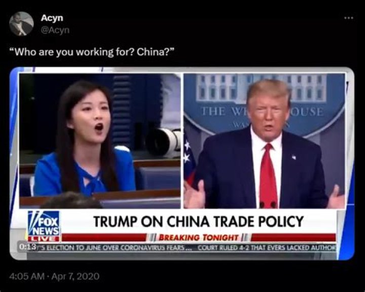 Who Is Acyn Torabi? Details To Know About The Twitter Celebrity