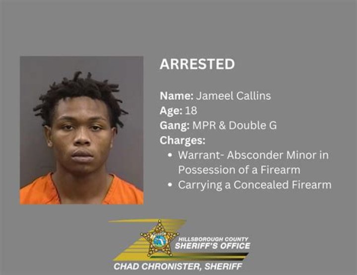 
Who Is Adam Berger From Eau Claire WI? An Update On The Wisconsin Man Arrested For Possession Of Illicit Content 