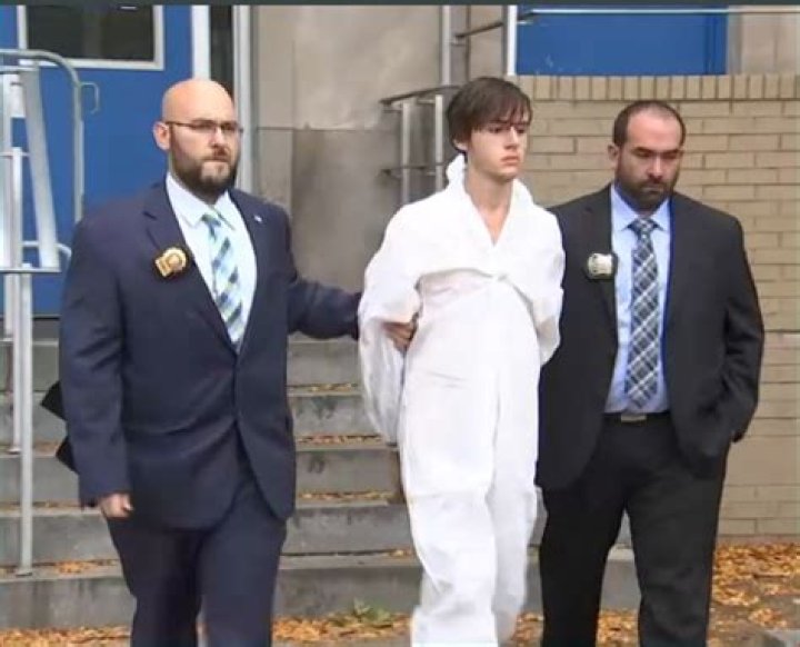 Who Is Adnan Pelinkovic? Age & Wiki – Mom Killer Arrested