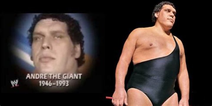 Who is Andre the Giant? See Net-worth, Quote, Awards, Fact, Wiki