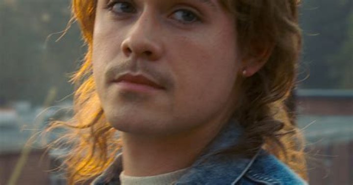 Who Is Dacre Montgomery As Billy Hargrove In Stranger Things?