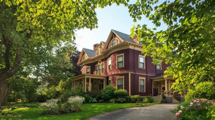 Who Is Dr Parkinstine Tiktok? Wikipedia, Biography, Age, Real Name, And Instagram