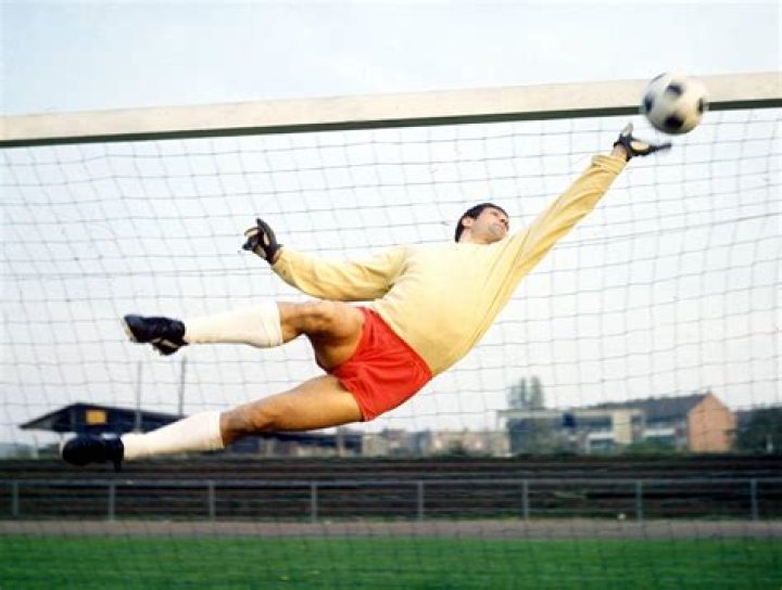 
Who Is Former Footballer Wolfgang Fahrian? Goalkeeper And Boateng Advisor Passes Away 