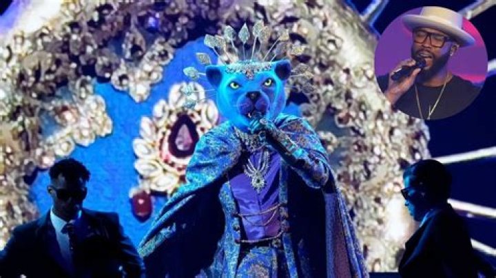 Who Is Panther On “The Masked Singer” Season 8?