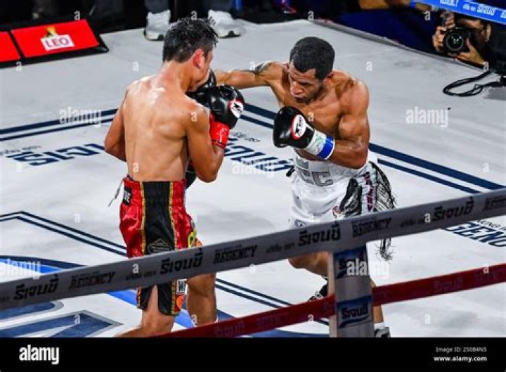 Who Is Panya Pradabsri Wife? Take A look At Thai Boxer Personal Life