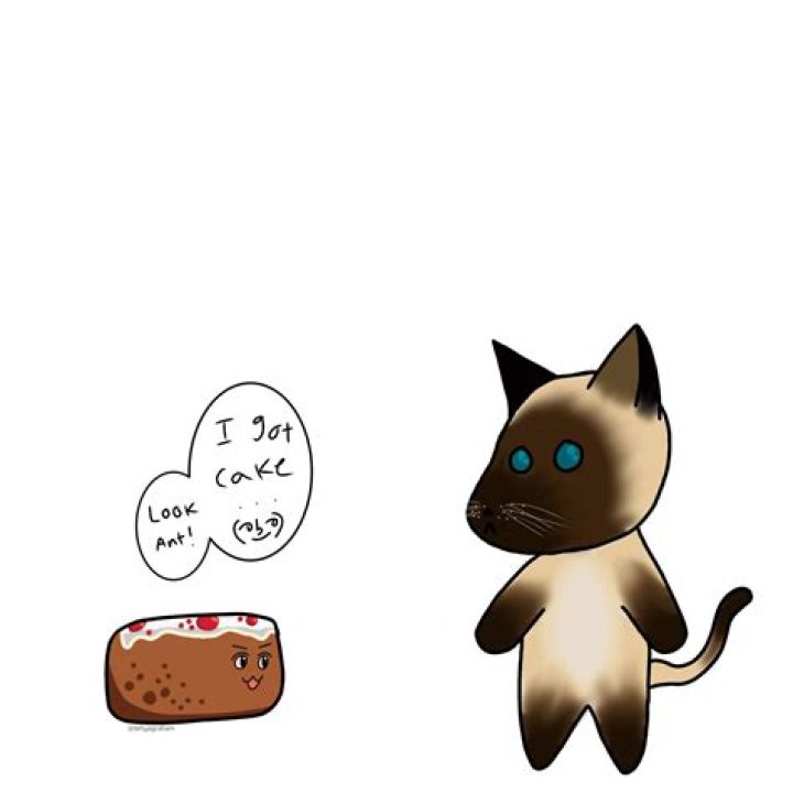 Who is Velvetiscake? Everything To Know About Antfrost Boyfriend